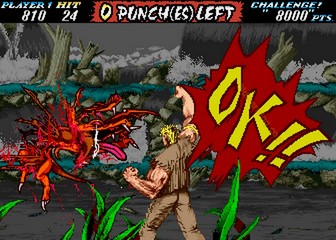 image de The First Funky Fighter